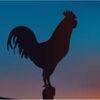 the_rooster